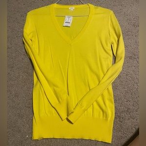 J. Crew factory vneck cotton sweater